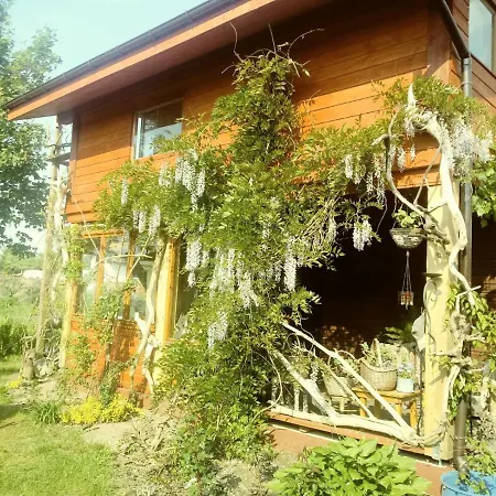 Babajaga 1 山林小屋 *